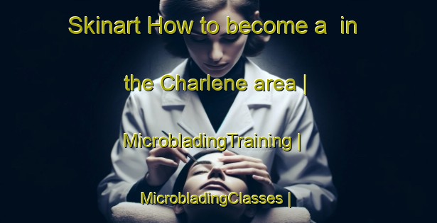 Skinart How to become a  in the Charlene area | MicrobladingTraining | MicrobladingClasses | SkinartTraining-United States